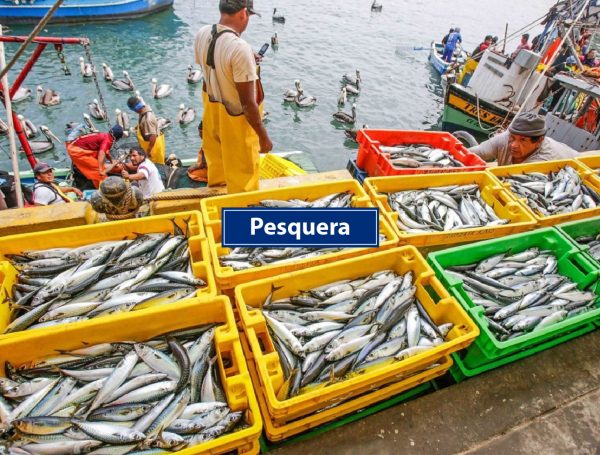 Pesquería