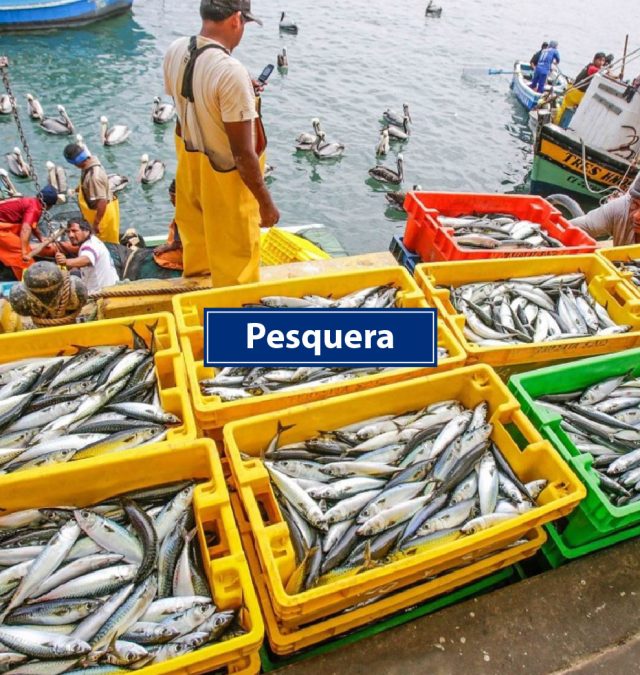 Pesquería