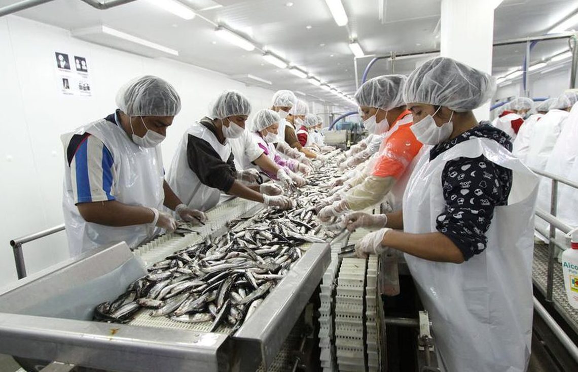 Pesca y Agroindustria