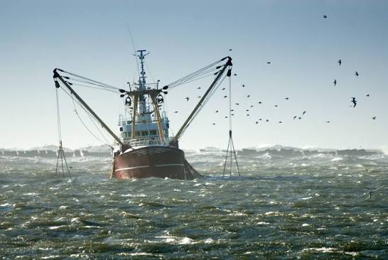 Soluciones para pesca - Inter Andean Trading