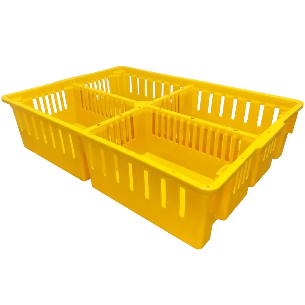 Caja para Transporte de Pollito
