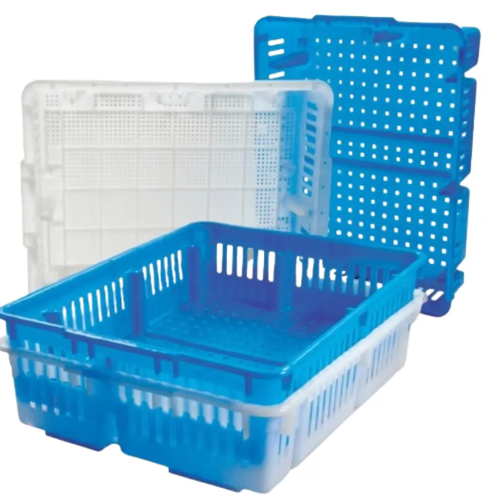 Caja Transportadora de Pollito DURA-BOX