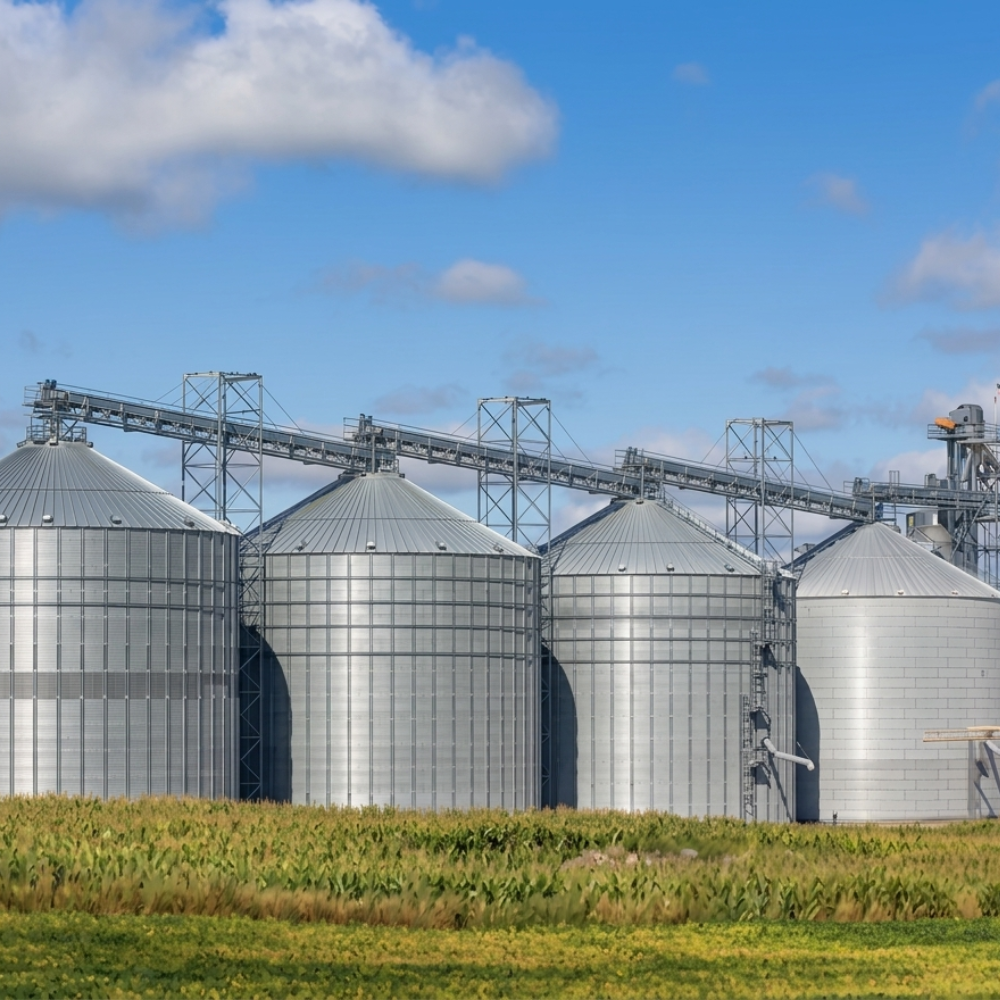 Silos de Almacenamiento GSI